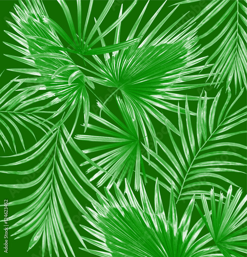 Green leaves of palm tree background
