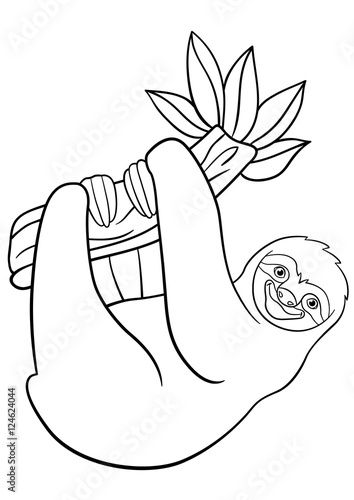 Coloring pages. Cute lazy sloth hangs on the tree.