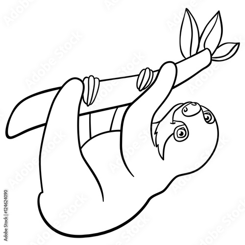 Coloring pages. Little cute baby sloth.