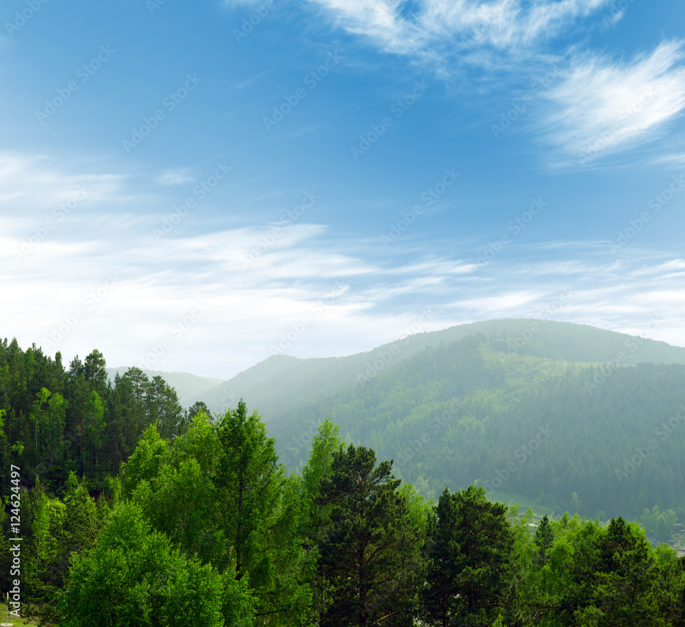 Fototapeta premium Mountains