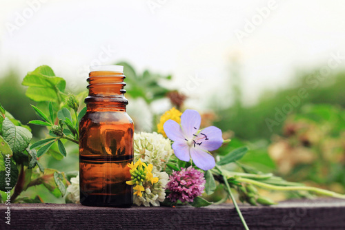 Fototapeta Naklejka Na Ścianę i Meble -  Herbal aroma oil bottle with various drugplant flowers, wooden surface, nature background in blur. Soft focus. Pure natural beauty care. 
