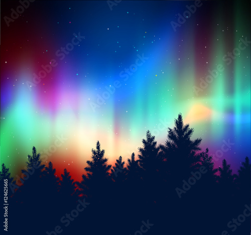 Winter landscape with northern lights