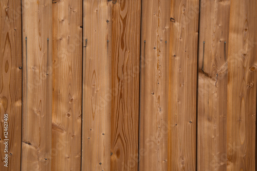 HOlz