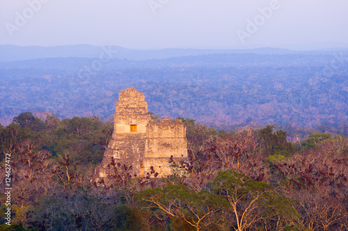 Tikal  Guatemala  Peten  forest.