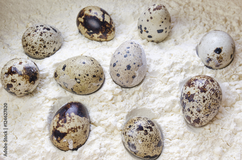 Obraz premium quail egg on a white background