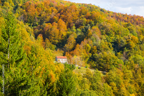 Isolated country house with trees with autumn colors