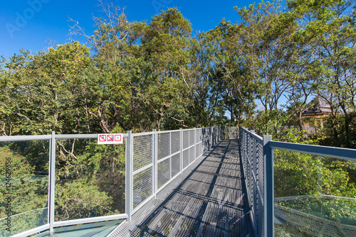 The Canopy Walk at Queen Sirikit Botanic garden, a popular new a © pongsakorn_jun26