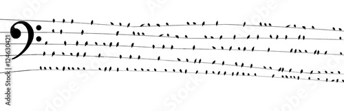 Birds on a wire wide PDK c clef scale Bass Clef