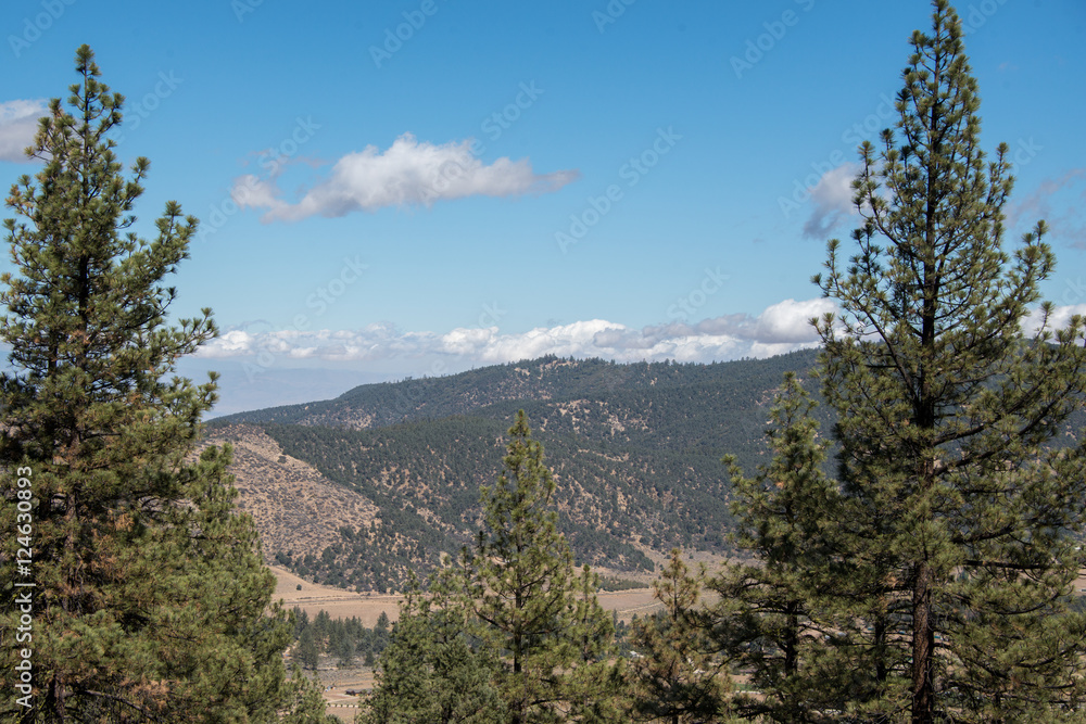 Views from Mount Pinos, California