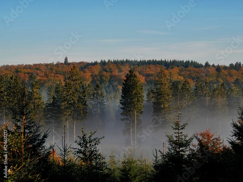 Herbstmorgen mit Nebel