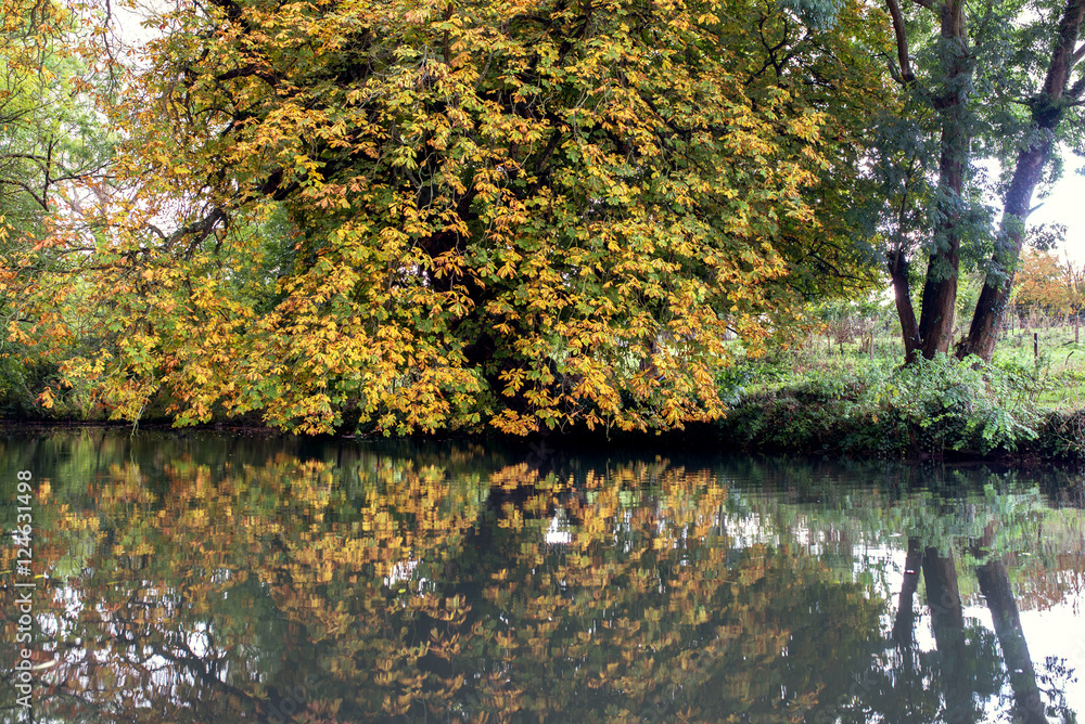automne automne