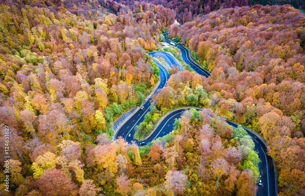 Fotobehang Luchtfoto Wegen Aerial drone view of a curved winding road through the forest hi #124631627
