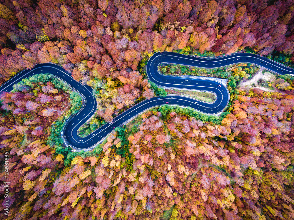 Fotobehang Luchtfoto Wegen Aerial drone view of a curved winding road through the forest hi #124631635
