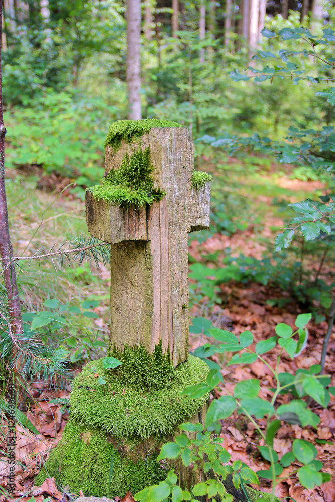 Old cross on a forgotten forest trail. Old cross on a forgotten forest trail.