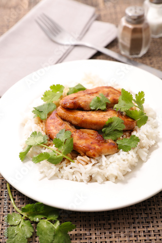chicken with sauce and rice