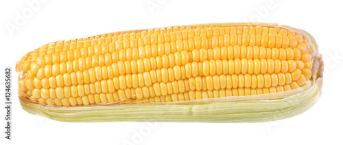 Corn white background