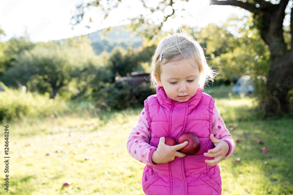 Cute little girl outside in nature on a sunny day Cute little girl outside in nature on a sunny day