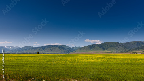 Beautiful landscape of highlands of Altai mountains