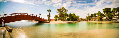 Photography palm and  bridge in tropical river