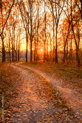 Winding Countryside Road Path Walkway Through Autumn Forest. Sun