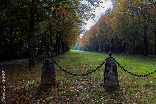 parc de Versailles photo