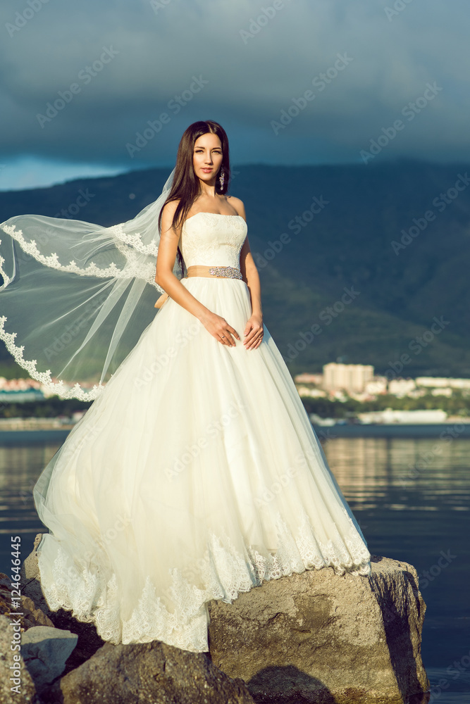 Young gorgeous dark-haired bride in luxurious wedding dress and lacy veil blown by the wind standing on the cliff at the seaside with storm clouds and mountains on background. Wedding fashion concept