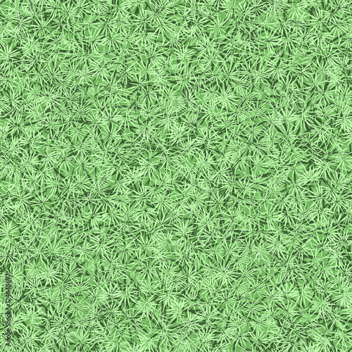 Conifer texture. Seamless vector pattern. Nature background.