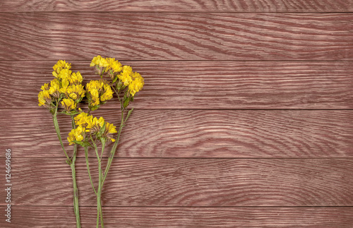 yellow dry wildflower on a wooden background
