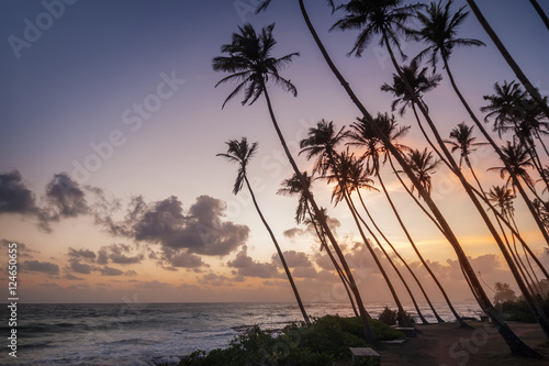 ocean beach on sunset with row palms on horizon