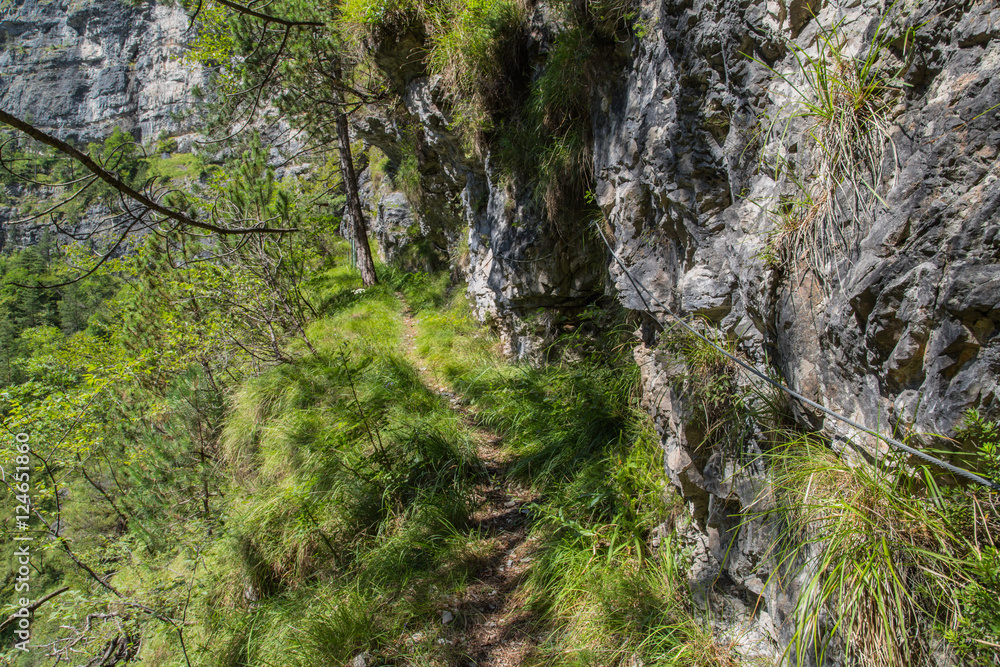 Gebirgswanderpfad am Abhang, Höhenweg im Tal Valle di Piero; Dolomiten, Sommer 