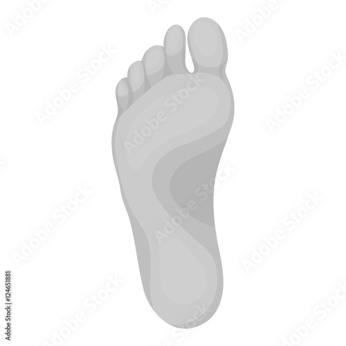 Foot icon in monochrome style isolated on white background. Part of body symbol stock vector illustration.