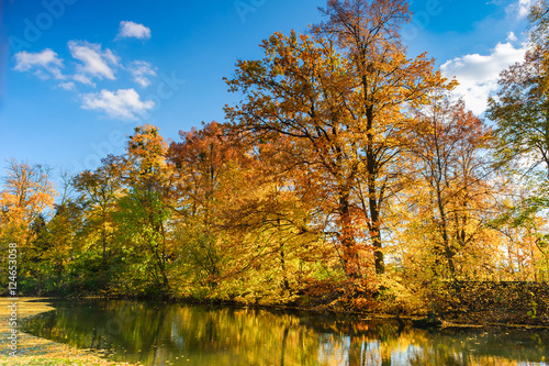 Landscape of golden autumn at lake in poland