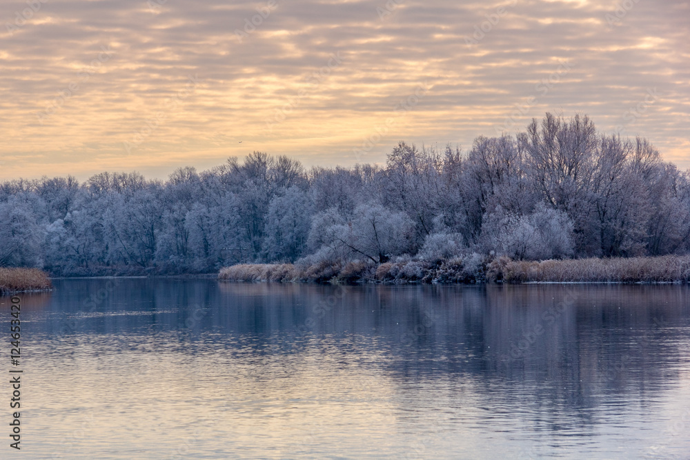 Trees covered with with hoarfrost reflected in the river Trees covered with with hoarfrost reflected in the river