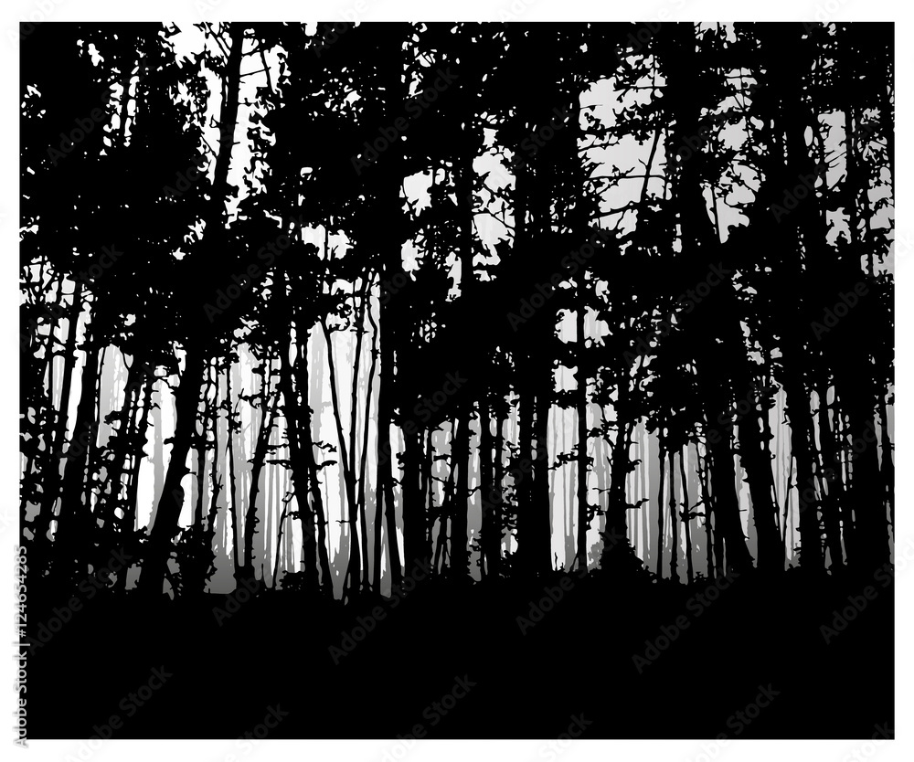   Woodland eco banner. Classic black and white tones. Can be used as poster, badge, wallpaper, backdrop, background.