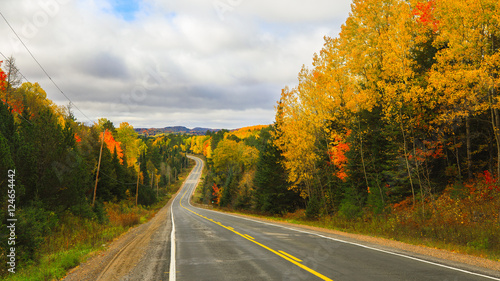 Driving into the Season