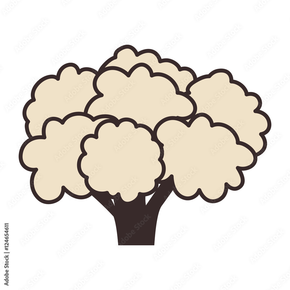 cauliflower vegetable healthy food icon over white background. vector illustration cauliflower vegetable healthy food icon over white background. vector illustration