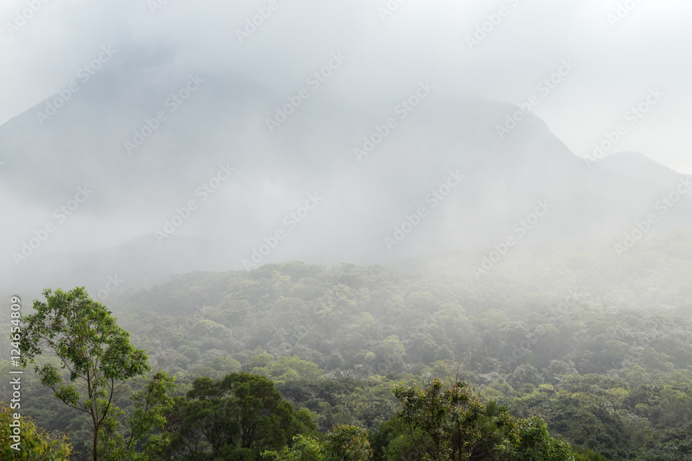 Cloudy view of lush forest and mountain on the Lantau Island in Hong Kong, China.