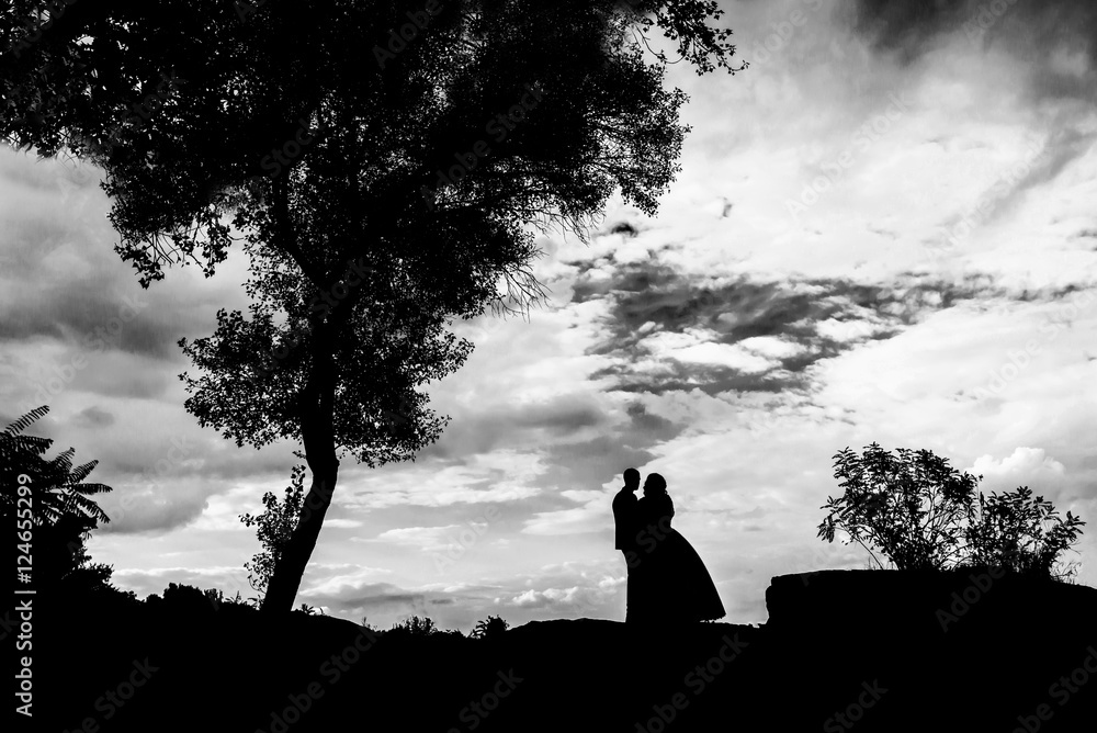 silhouette of a young couple