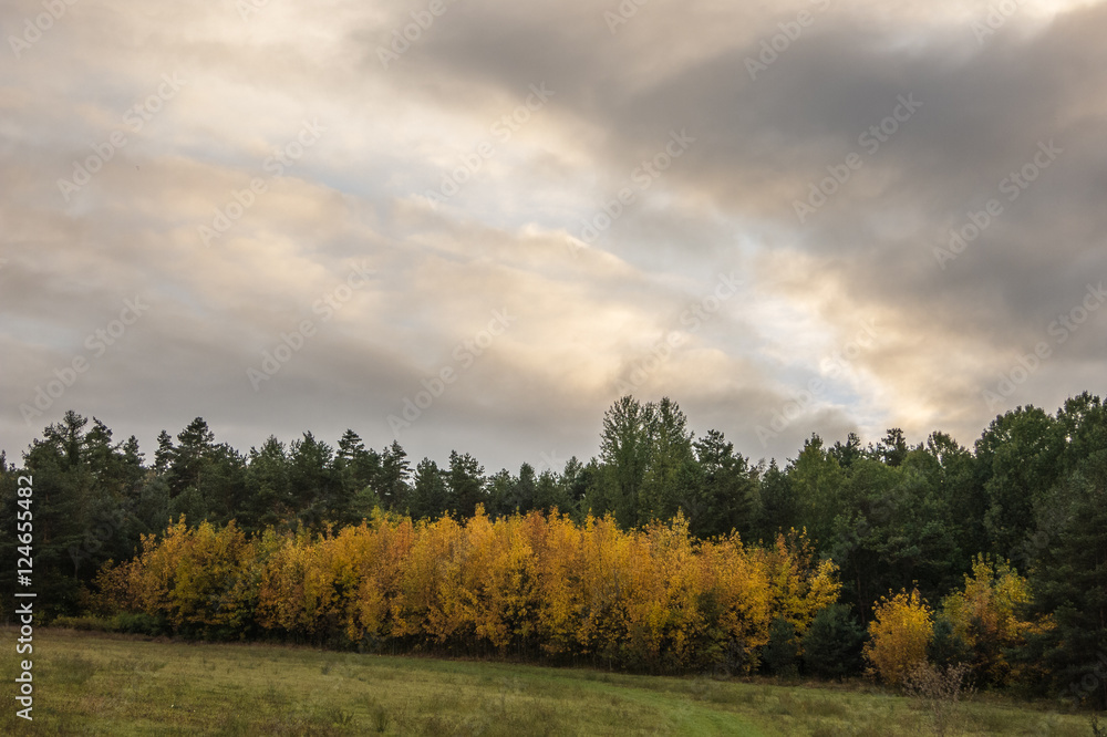 Fototapeta premium Herbstlandschaft