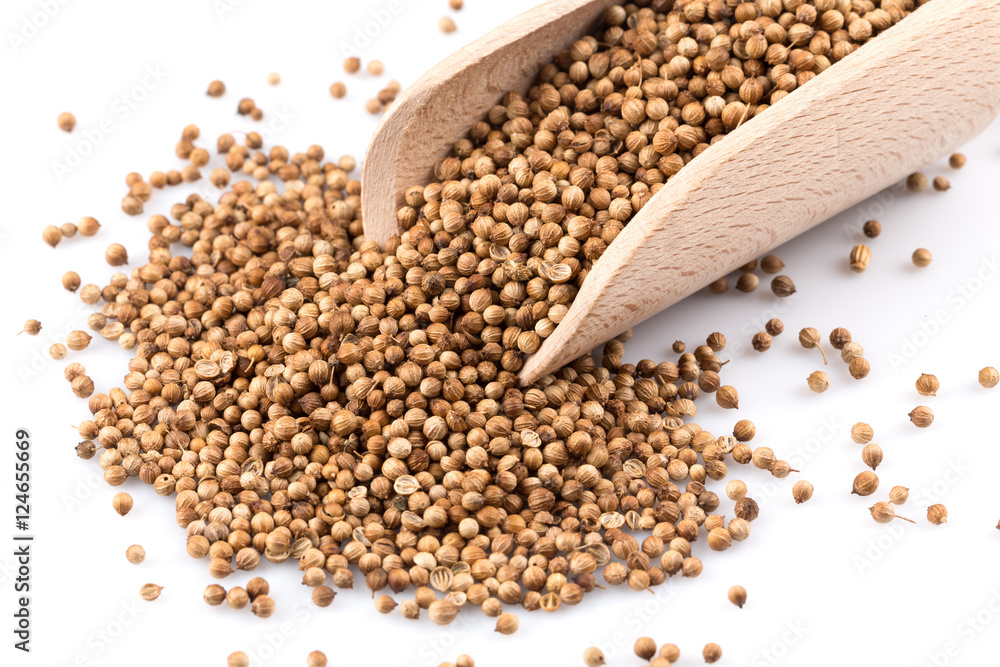 Coriander seeds in wooden scoop Coriander seeds in wooden scoop