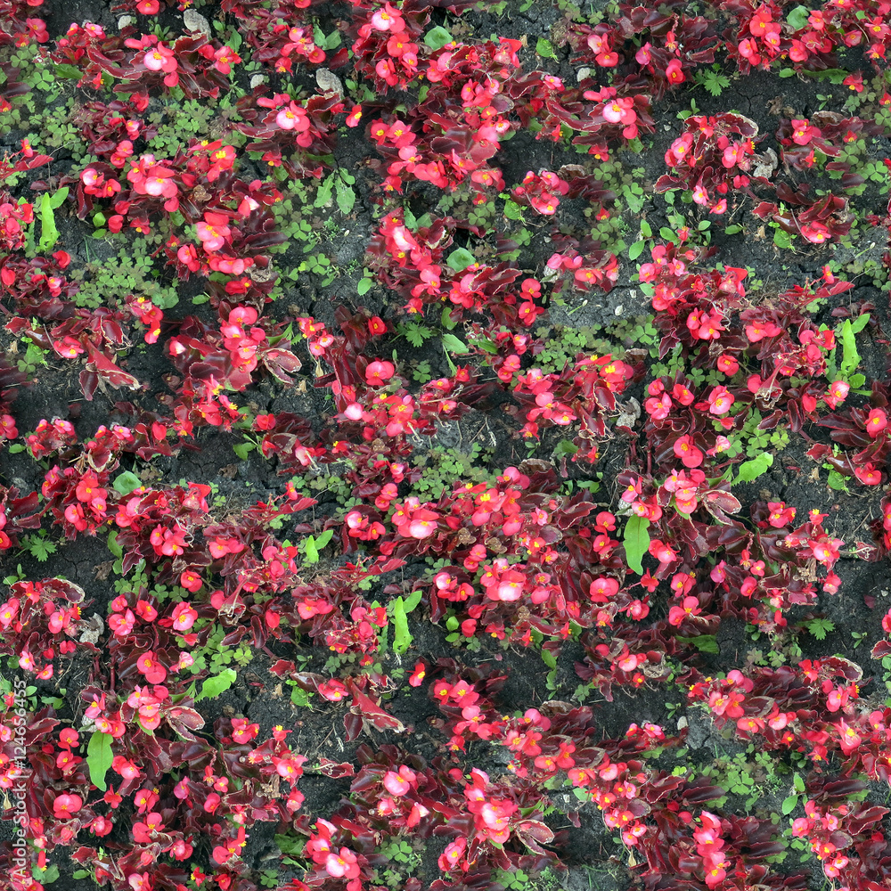 seamless texture of flowerbed