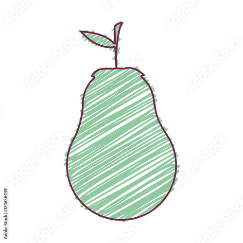 pear fruit healthy food over white background. draw design. vector illustration