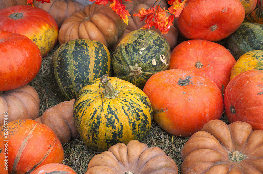 pumpkins