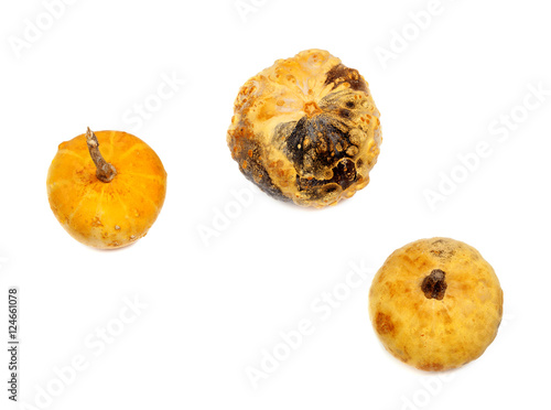Three small decorative pumpkin