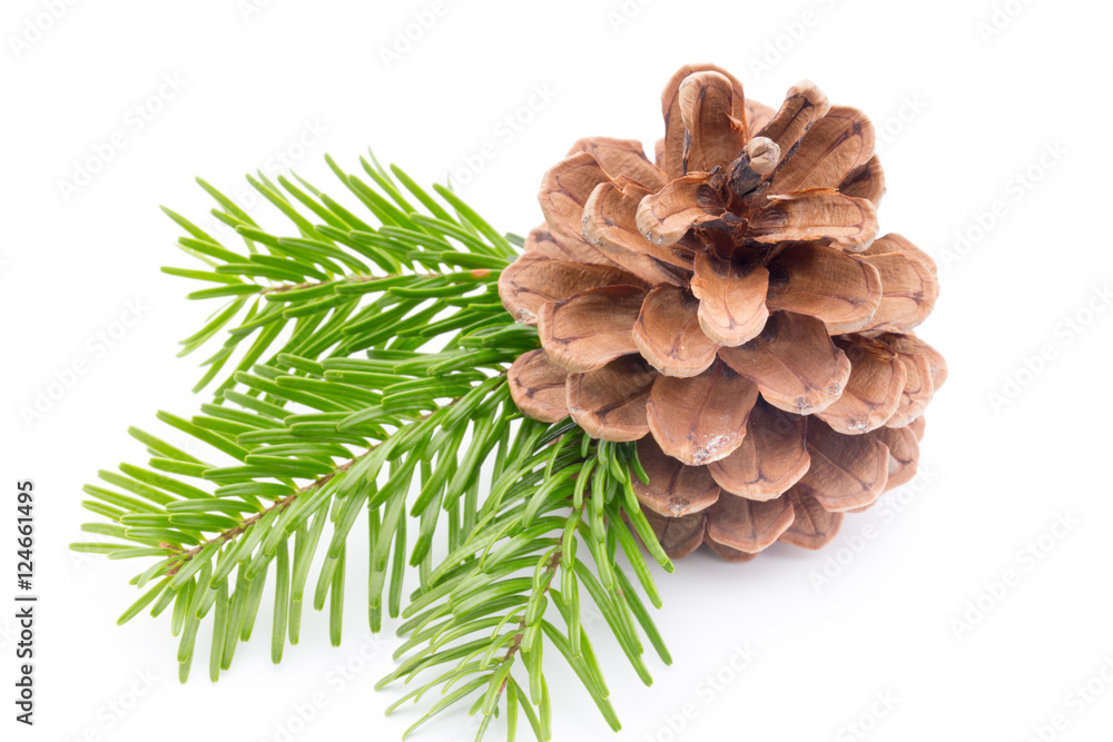 Fototapeta premium Christmas decoration on the pine cone.