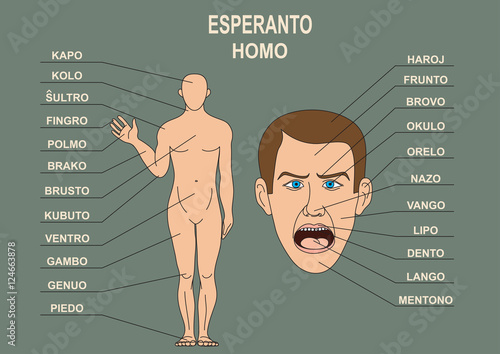 The manual for the study of the language Esperanto. The human body, a human head. Training Material for the Esperanto language. photo