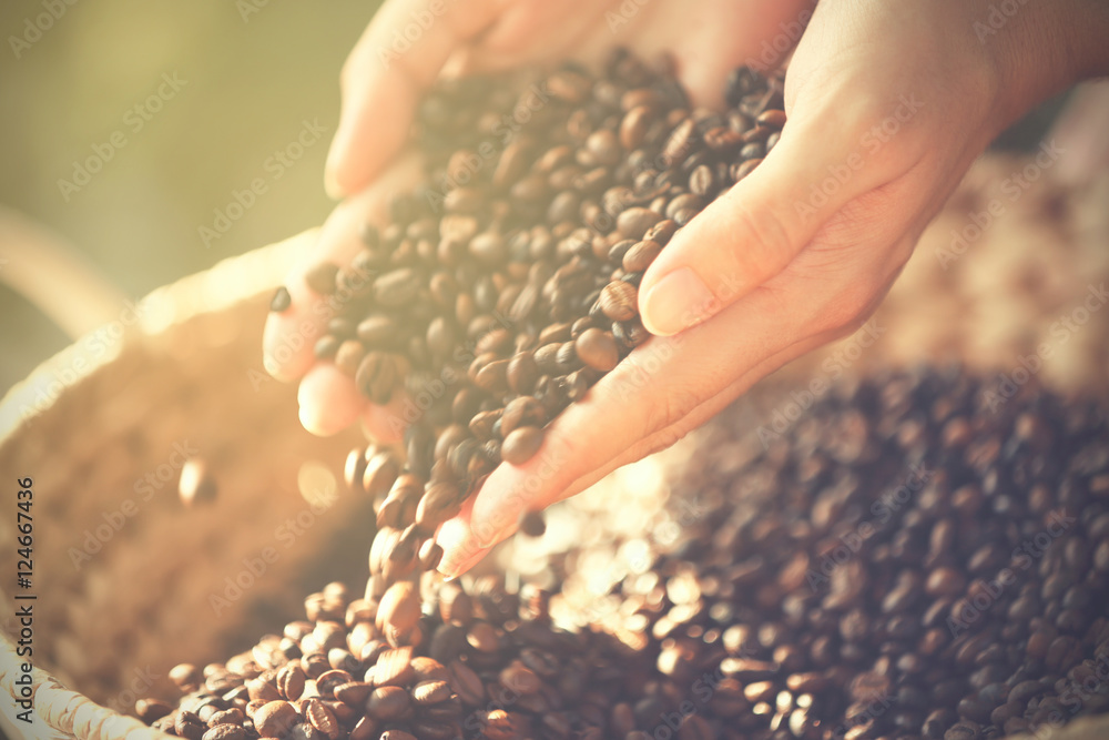 Female hands with roasted coffee beans, closeup Female hands with roasted coffee beans, closeup