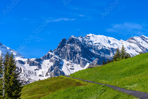 Beautiful Swiss mountain valley landscape with trail. © karamysh