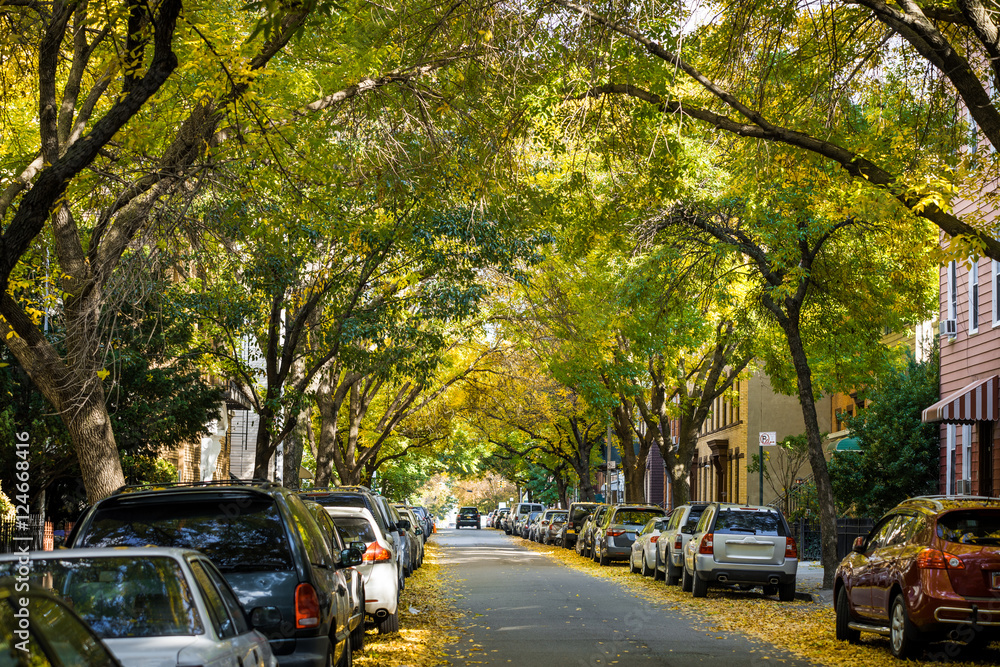 Autumn alley in the city Autumn alley in the city