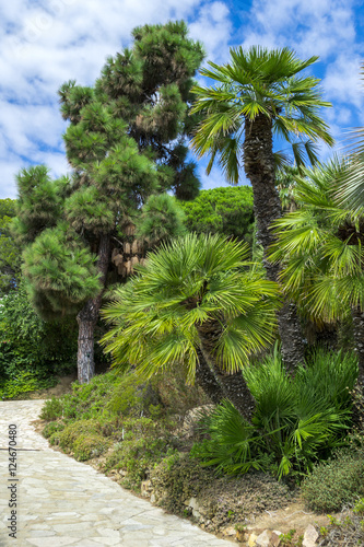 Cactus garden in the Lloret de mar  Costa Brava  Catalonia  Spain